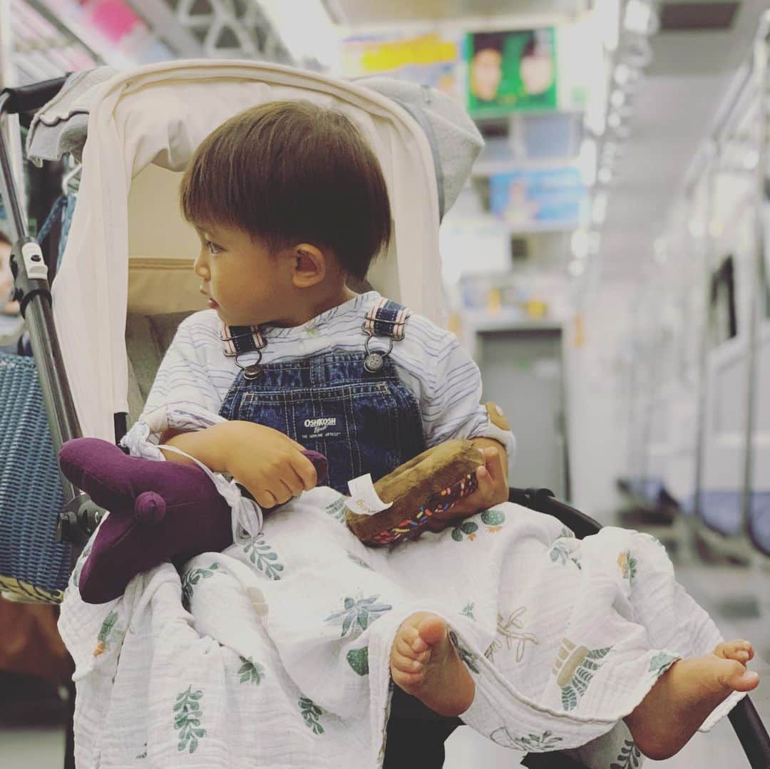 DaisukeNさんのインスタグラム写真 - (DaisukeNInstagram)「#🚃 . . #train #japanesetrain #toukaidouline #kids #boy #son #電車男 #電車に乗る」6月2日 21時28分 - da7suke