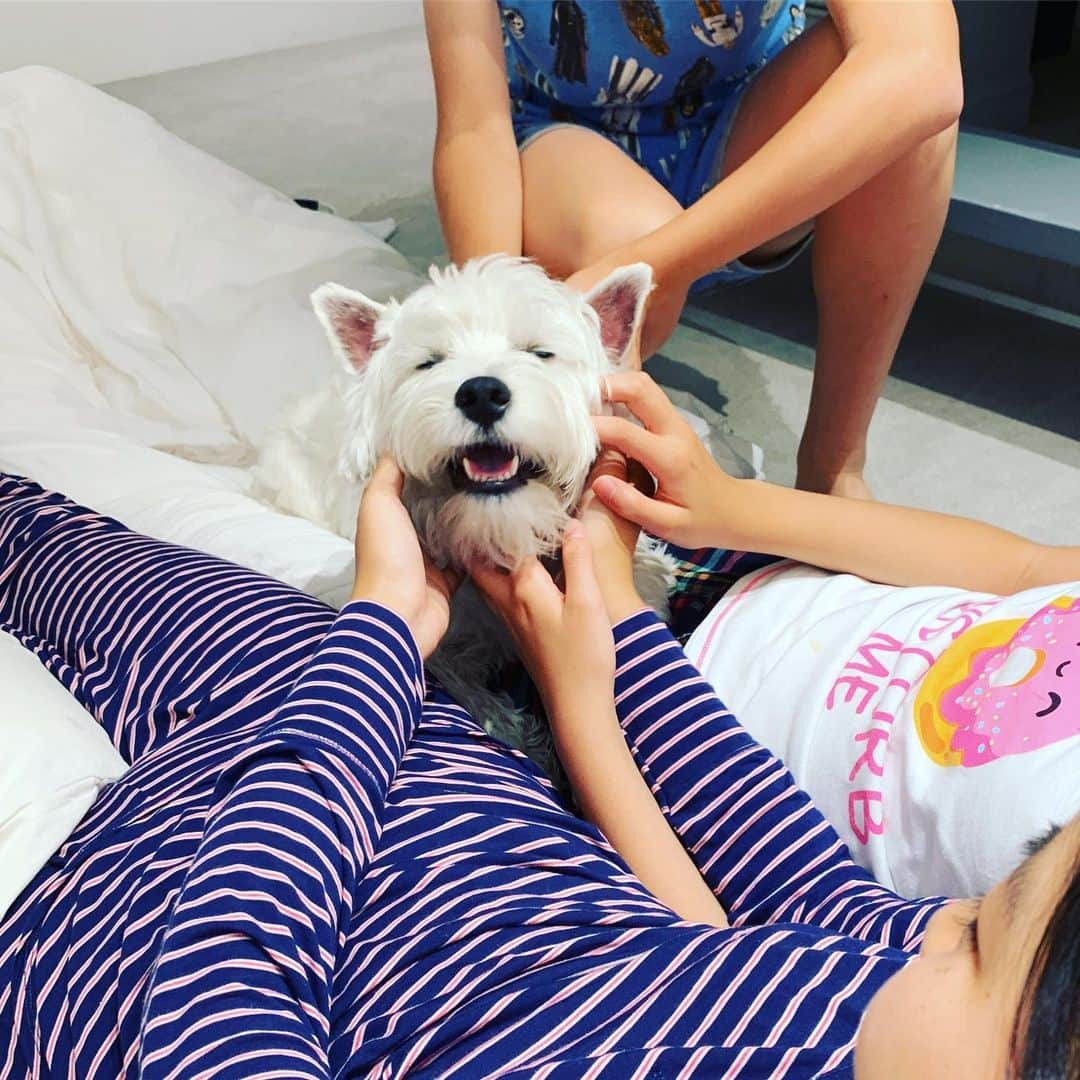 滝沢眞規子さんのインスタグラム写真 - (滝沢眞規子Instagram)「子ども部屋が好きみたい🐶 4人きょうだいだと思ってるはず🐶😊」6月2日 21時53分 - makikotakizawa