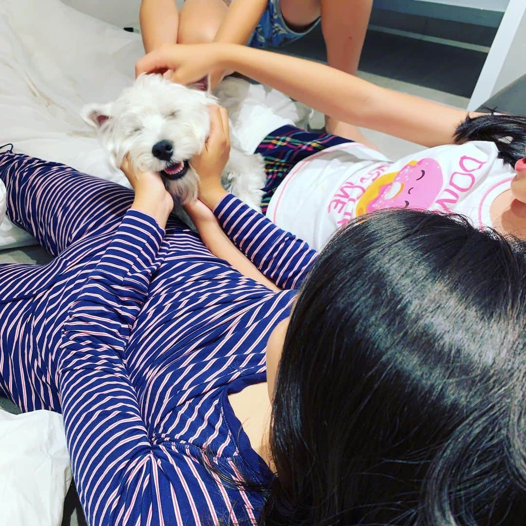 滝沢眞規子さんのインスタグラム写真 - (滝沢眞規子Instagram)「子ども部屋が好きみたい🐶 4人きょうだいだと思ってるはず🐶😊」6月2日 21時53分 - makikotakizawa