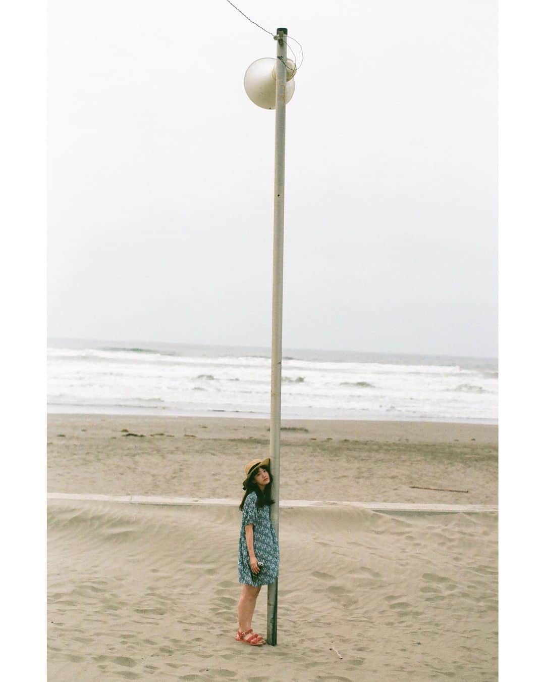 夏目志乃さんのインスタグラム写真 - (夏目志乃Instagram)「よくみると 夏目。」6月2日 22時08分 - shinonatsume