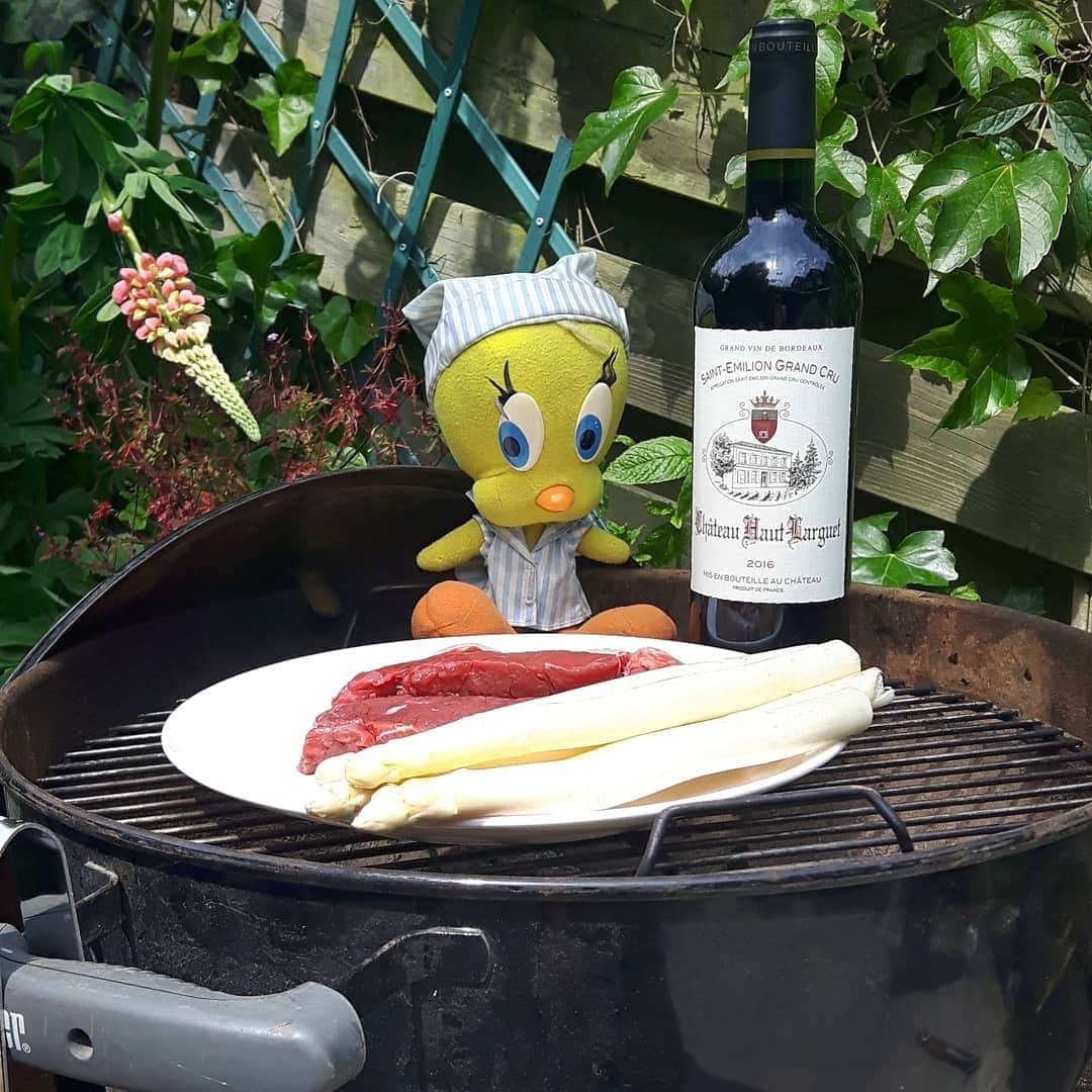 Little Yellow Birdさんのインスタグラム写真 - (Little Yellow BirdInstagram)「It's a sunny sunday, so let's fire this baby up! I've got some steaks and white asparagus!! #littleyellowbird #tweety #tweetykweelapis #adventures #yellow #bird #weekend #sunday #sunnyday #summer #sun #fun #entrecote #steak #asparagus #whiteasparagus #food #goodfood #redwine #bbq #stuffedanimalsofinstagram #plushiesofinstagram」6月2日 22時28分 - tweetykweelapis