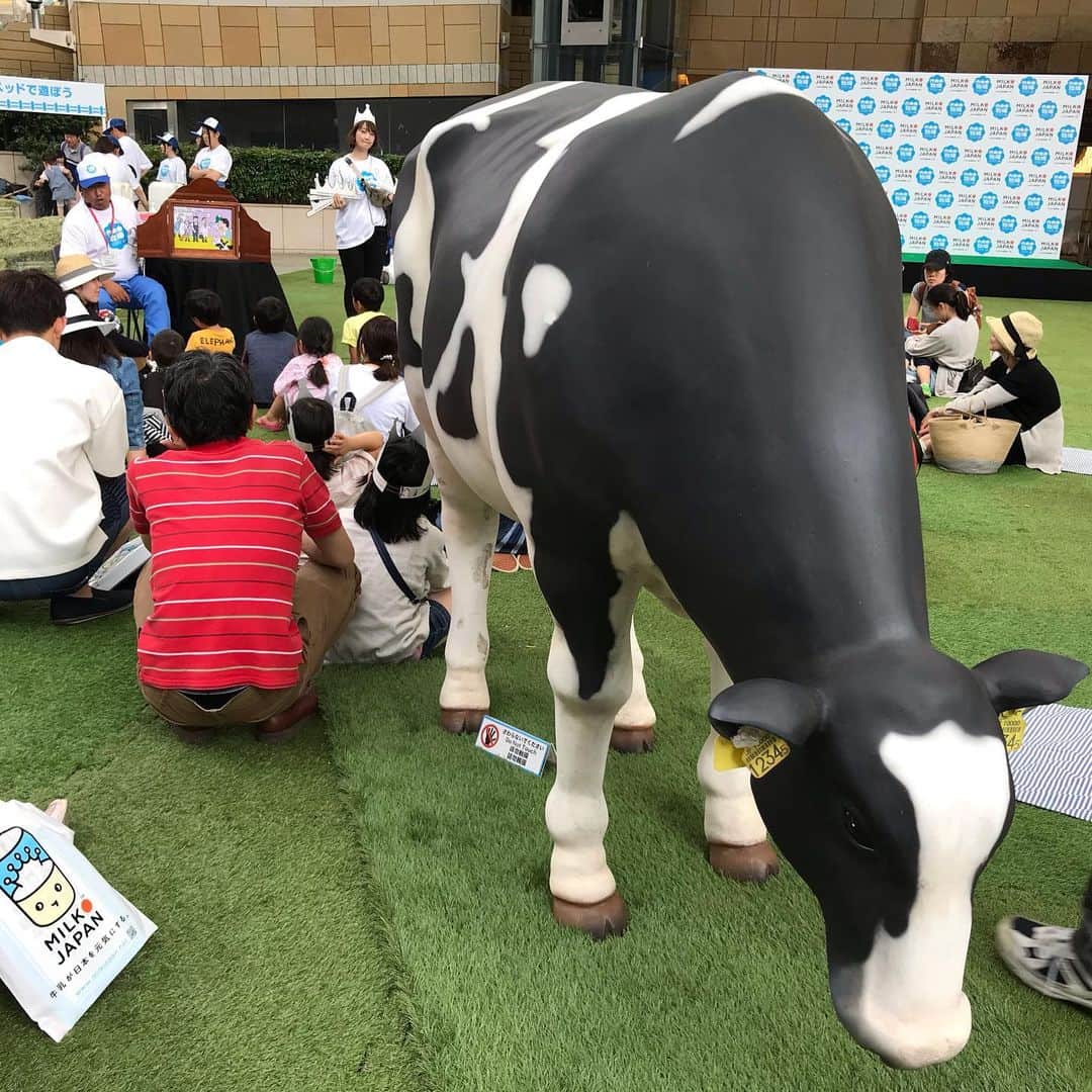 小谷あゆみのインスタグラム：「#六本木牧場 #worldmilkday  酪農家は紙芝居がうまい #酪農教育ファーム」