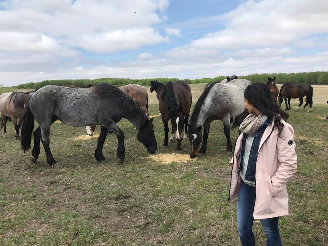 アマンダ・エボラさんのインスタグラム写真 - (アマンダ・エボラInstagram)「Horsin’ around in the wild, eh?! Neigh!! 🐎😂 You know you love my lame joke @paigehlawrence !  #lastSunday #WildHorses #PaigesRanch」6月2日 23時04分 - acevora84