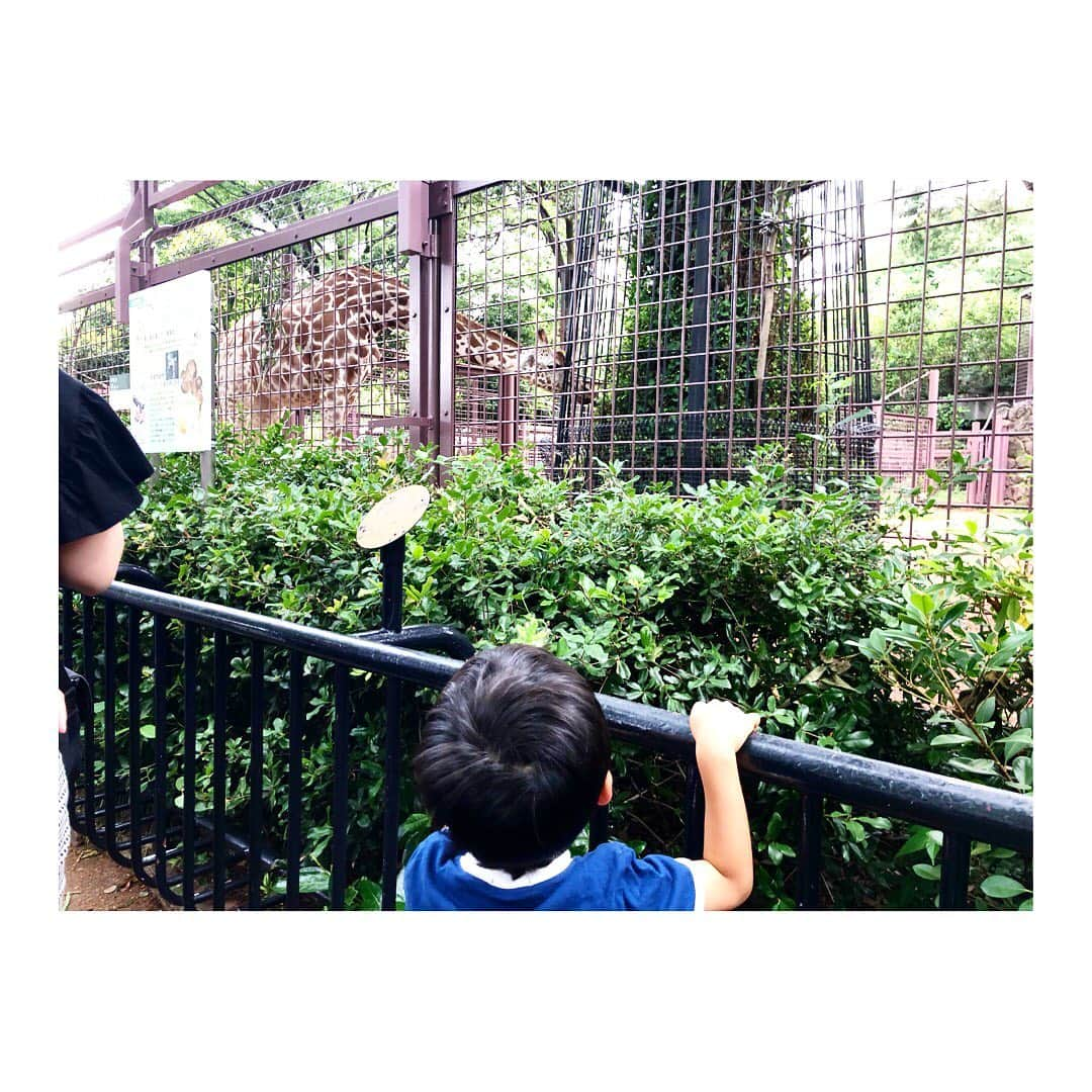 小脇美里さんのインスタグラム写真 - (小脇美里Instagram)「・ 昨日は息子リクエストで #上野動物園 へ。 ・ ・ 涼しくて、天気もよく動物園日和☻ 息子、動物で1番好きなのは #きりん らしい！笑笑 ・ ・ ・ きりんが1番好きなんだよなぁーと言いながら、じっと見てました☻ 笑笑」6月2日 23時30分 - misatokowaki