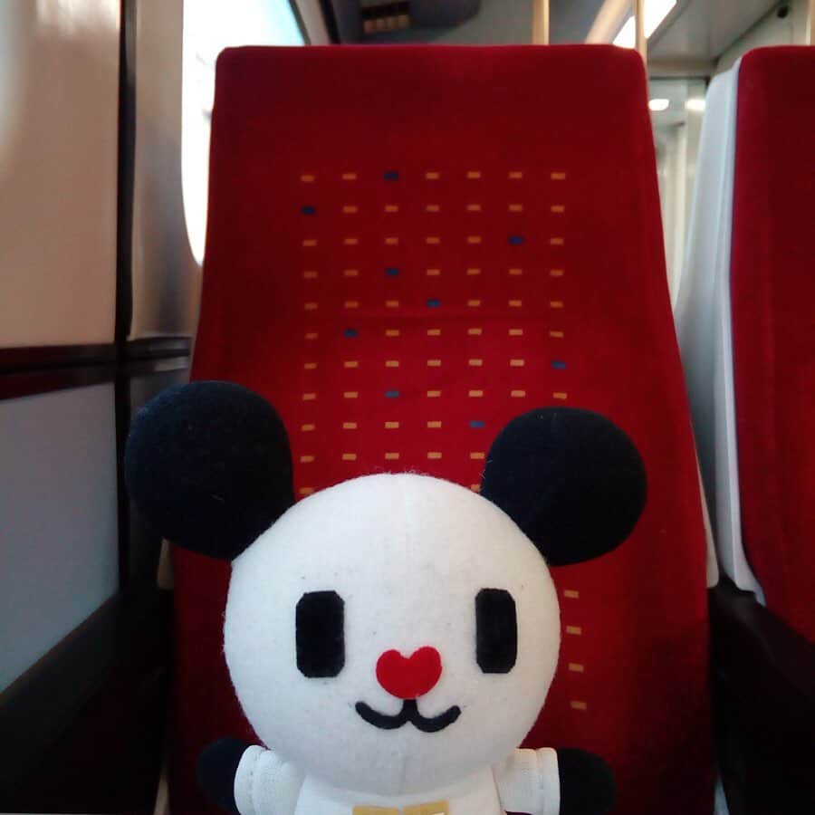 テレ朝newsさんのインスタグラム写真 - (テレ朝newsInstagram)「乗り物好きのゴーちゃん。 地下鉄と電車を乗り継ぎます。 とても乗り心地のいい電車で、嬉しそうです。 . . #おでかけゴーちゃん。#テレビ朝日 #テレ朝 #news #六本木 #東京 #japan #follow #テレビ #テレビが好きな人と繋がりたい #写真 #写真好きな人と繋がりたい #photography #nofilter #ゴーちゃん #ごーちゃん #panda #おでかけ #fun #travel」6月3日 0時29分 - tv_asahi_news
