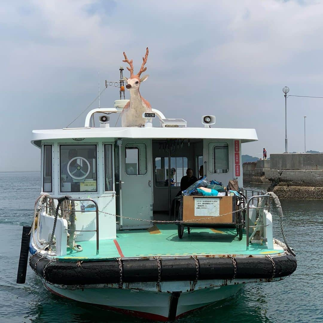 天乃舞衣子さんのインスタグラム写真 - (天乃舞衣子Instagram)「北条鹿島！ 鹿の船に乗って約3分。 自然いっぱいで癒されたぁ。 鹿の角って、皮膚なんだって。」6月3日 0時42分 - amanomaiko