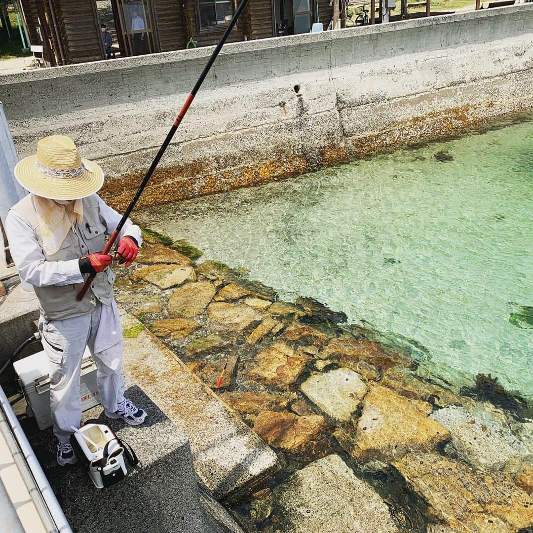 天乃舞衣子さんのインスタグラム写真 - (天乃舞衣子Instagram)「北条鹿島！ 鹿の船に乗って約3分。 自然いっぱいで癒されたぁ。 鹿の角って、皮膚なんだって。」6月3日 0時42分 - amanomaiko