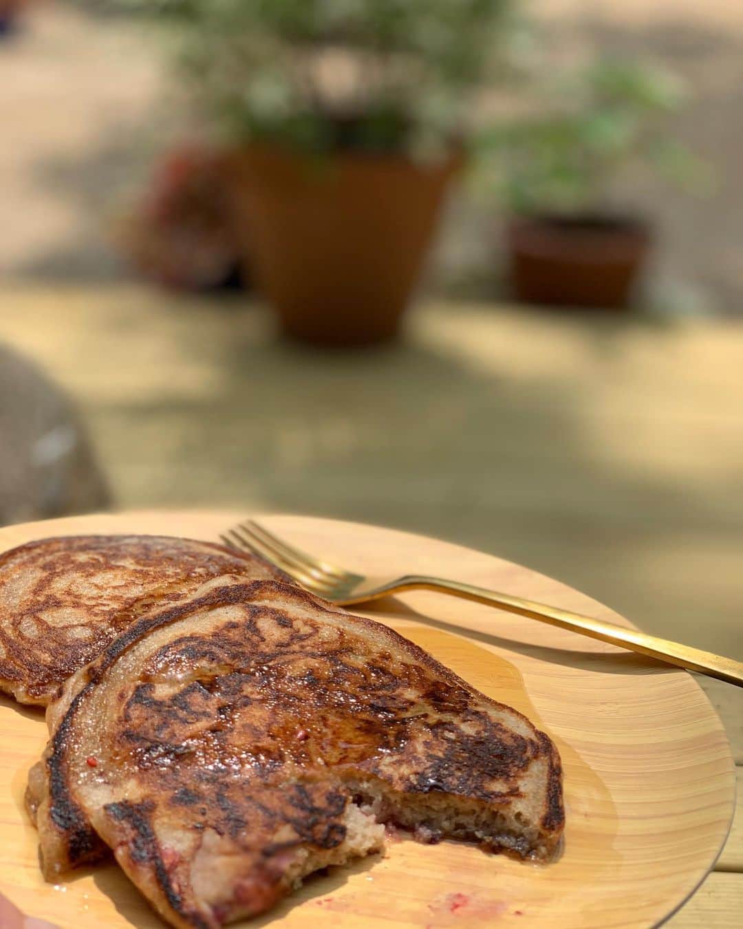 ジェニファー・エスポジートさんのインスタグラム写真 - (ジェニファー・エスポジートInstagram)「Someone is coming for my pancakes. Attack of the 13lb Goose. Eat more pancakes! #grainfree #vegan #nutfree #happycakes」6月3日 0時50分 - jesposito