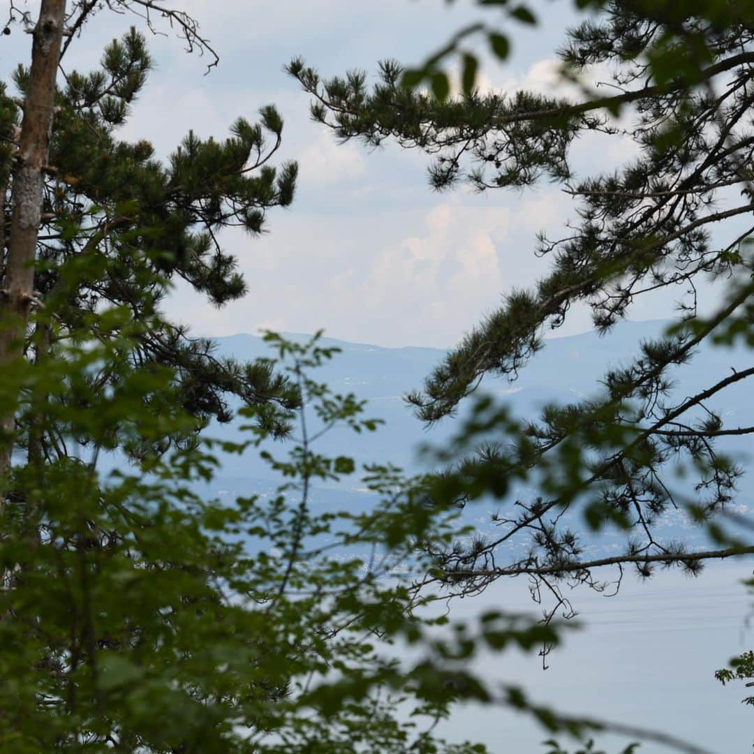 マイケル・ルーカーさんのインスタグラム写真 - (マイケル・ルーカーInstagram)「A few moments from my 2hr Croatian mountain hike......」6月3日 1時01分 - michael_rooker