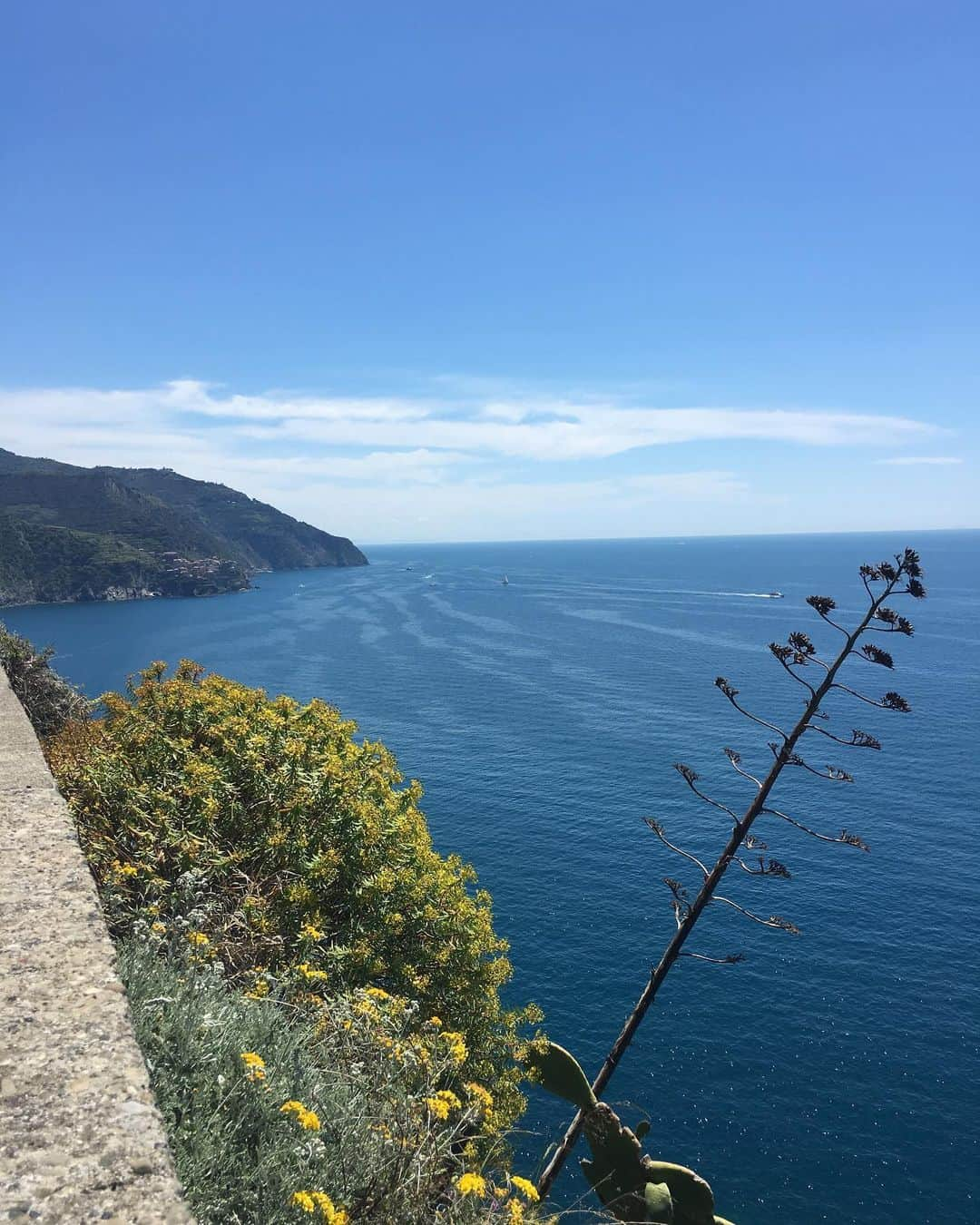 フェデリカ・テスタさんのインスタグラム写真 - (フェデリカ・テスタInstagram)「Terra nº 3 #Corniglia. I tipici vicoletti liguri portano a belvedere che regalano scorci mozzafiato sul mare. A parte questo non c’è molto altro da vedere a Corniglia che si colloca al quarto posto della nostra classifica. Vi consigliamo di prendere il bus dalla stazione fino al centro città e al ritorno di passeggiare sulla scalinata panoramica. Voto: 7 #weekendinlove #italiabella #summer @mattecorradi 💙」6月3日 1時50分 - _fedetesta_