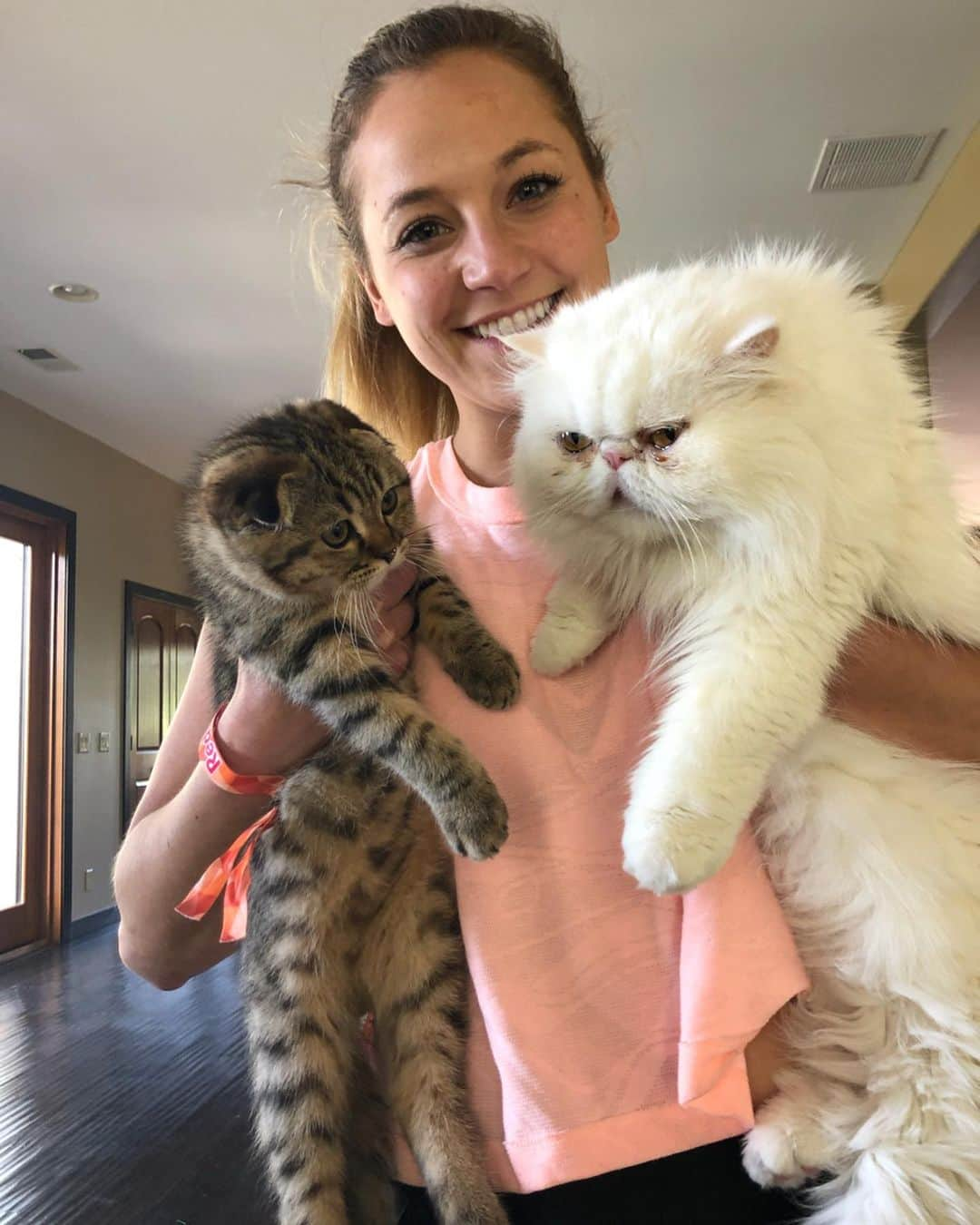 サッシャ・ディギーリアンさんのインスタグラム写真 - (サッシャ・ディギーリアンInstagram)「My fur-babies ... bonding yet? @pixietwixx  #cats #scottishfold #persiancat」6月3日 2時23分 - sashadigiulian