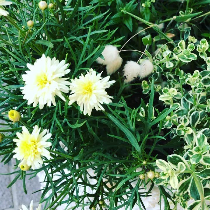 藤田朋子のグルメインスタ