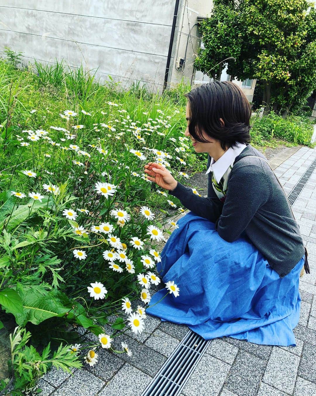 加藤ジーナさんのインスタグラム写真 - (加藤ジーナInstagram)「お花が大好きです🌼 #お花 #デイジー #雛菊 #野花 #スカートついてるのは気にしないで笑」6月3日 12時04分 - katogina_718