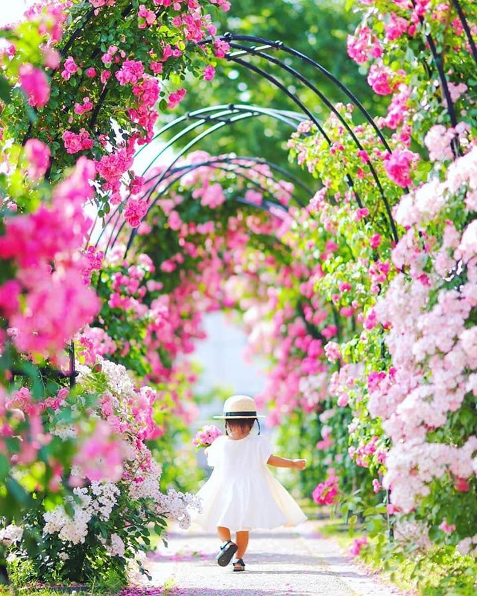 タビスルキッズのグルメインスタ