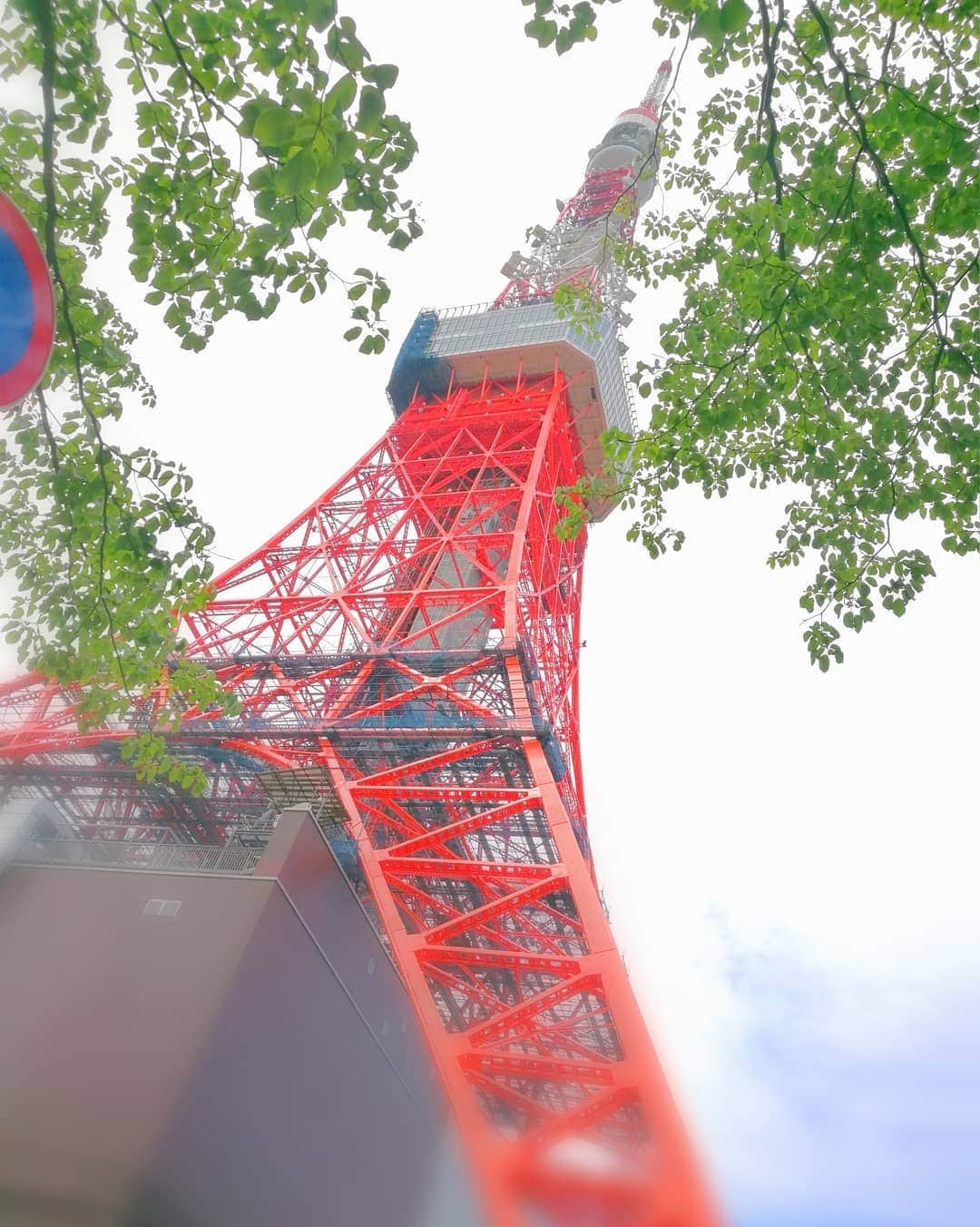 Moco Lima Hawaiiさんのインスタグラム写真 - (Moco Lima HawaiiInstagram)「Hello Tokyo!! New* Neon Palm Tree Tote Bag, Made By Moco  #tokyo#tokyotower#japan#Japanese#longtimenosee#friends#smile#funtime#happy#happytime#all#time#timesfly#roppongi#midtown#mocolima#hawaii#bag#designer#photoshoot#mylife#東京#東京タワー#日本#友達#最高」6月3日 13時02分 - mocolimahawaii