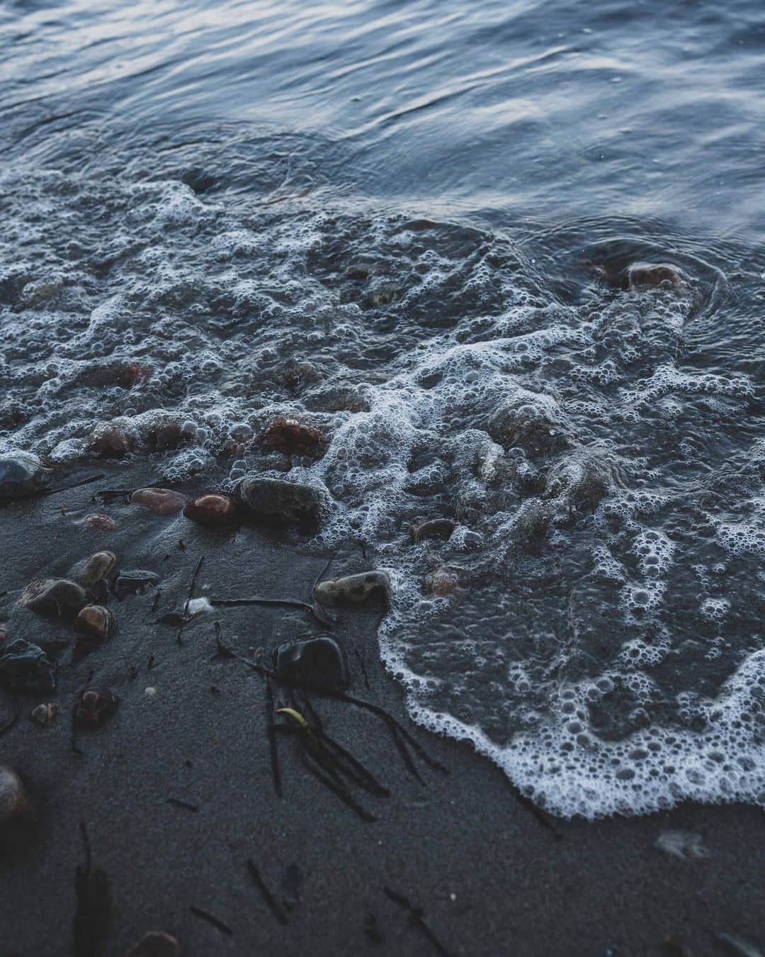 Shinsuke Inoueのインスタグラム：「#Sea nearby #louisianamuseum in #Denmark #海 #ルイジアナ美術館 #デンマーク」