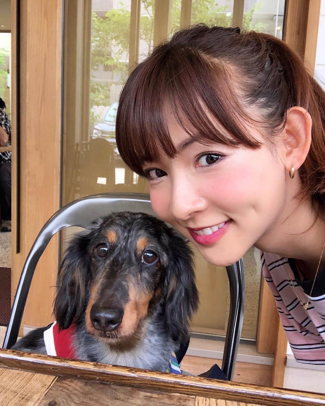 のインスタグラム：「🐶♡ ウォルトと一緒にお出かけ💖 よい休日でした(⌯˃̶᷄ ⁻̫ ˂̶᷄⌯)🌼 #今週も頑張ろう ＊  #dog #dogsofinstagram #miniaturedachshund #dachshund #silverdapple #lunch #soba #fashion #tshirt #oceanpacific #op #犬 #わんこ #愛犬 #ウォルト #ランチ #蕎麦 #蕎麦好き #ポニーテール #ファッション #Tシャツ #オーシャンパシフィック #阪本智子」