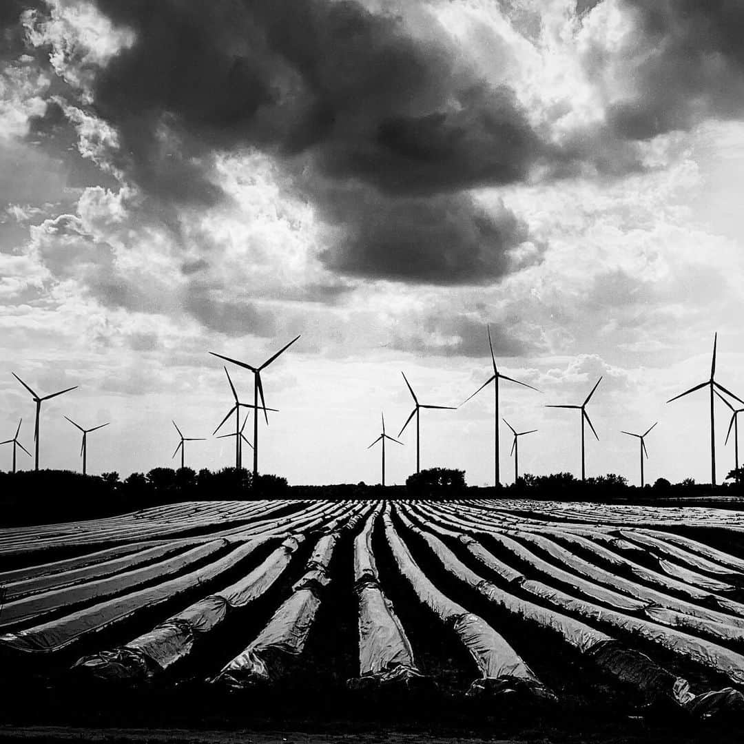 バレリー・イネルシさんのインスタグラム写真 - (バレリー・イネルシInstagram)「Weekend trip in the country side. #windpower #alternativeenergy #germany #blackandwhite」6月3日 6時01分 - valerie_inertie