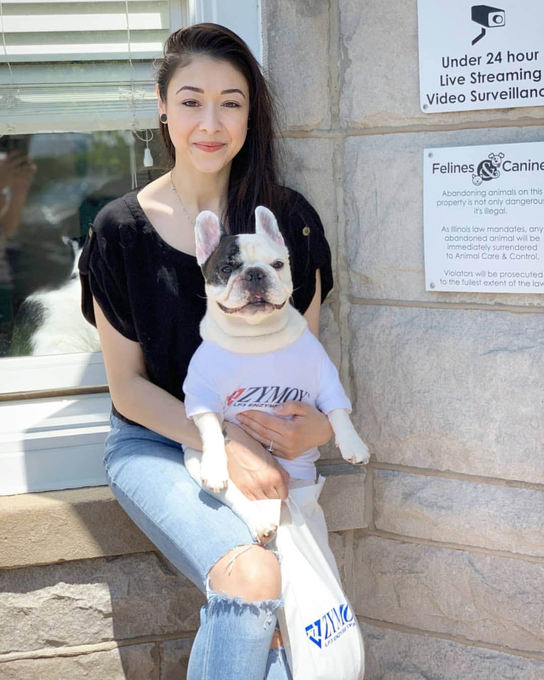 Manny The Frenchieのインスタグラム：「Did you watch my live vid?! Took Mom to visit @felinescanines and drop off some grooming goodies from our pals at zymox! 🤗❤ @zymox_official」