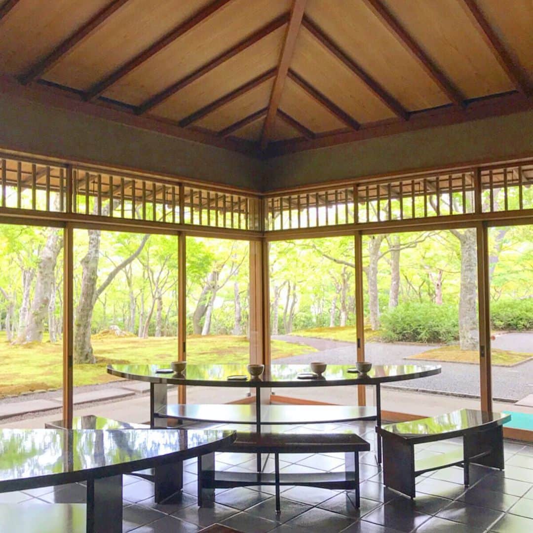 のインスタグラム：「* 箱根で一番歴史のある美術館✨🍃 庭園内にはお茶室があり 和菓子とお抹茶を頂けます🤤 ジャポニズムやねこりは 紅葉の時期にはより賑わいそうです🍁  箱根美術館 入館 900円 お抹茶と和菓子セット700円 で1,600円」