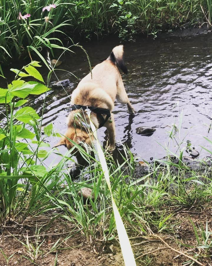 佐々木海のインスタグラム