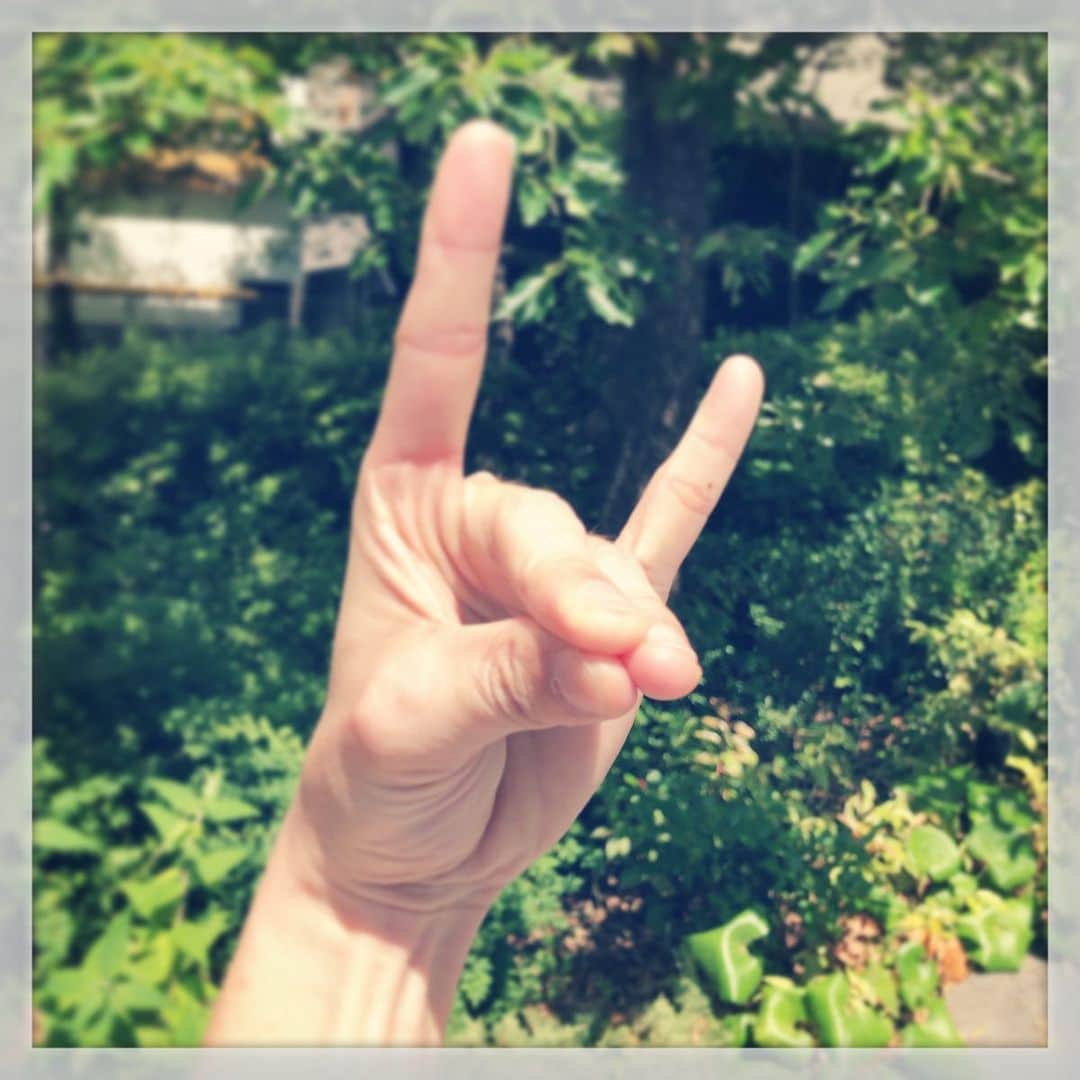 山崎勝之さんのインスタグラム写真 - (山崎勝之Instagram)「ケトジェニック風ダイエット始めました。 自分に甘く、【風】でございます。 現場からは以上です。」6月3日 9時42分 - chan_yama