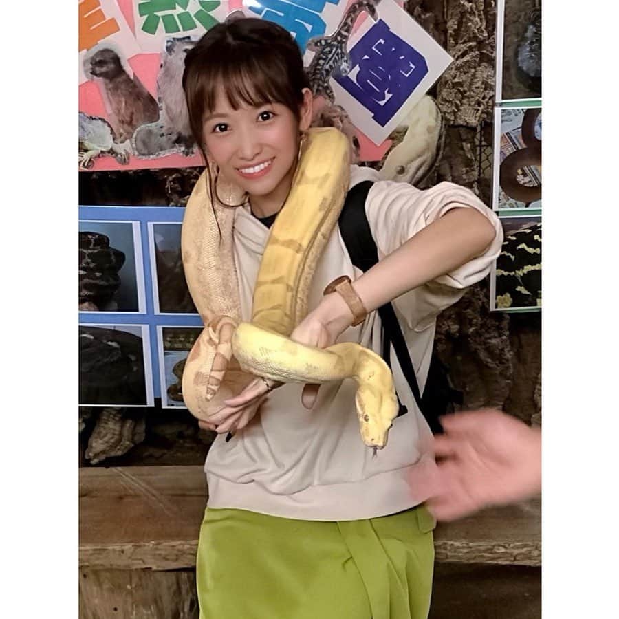 竹田愛のインスタグラム：「今年も無事誕生日を迎え、またひとつ歳を重ねました✨ これからも1日1日を大切に、自分らしく笑顔いっぱいで過ごせるように頑張ります！ こんな私ですが、これからもよろしくお願いします♡  #6月3日 #31th #mybirthday #31歳になりました #ドキドキワクワク #メッセージくれた方ありがとう #感謝 #記念に #蛇を首に巻きました #可愛かった😍 #蛇 #ヘビ #ゴールデンパイソン #爬虫類女子」
