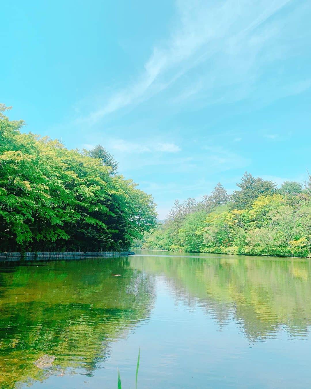 志摩夕里加のインスタグラム：「🌿🌿🌿🌿 雲場池🌳 マイナスイオンのかたまり。 綺麗なものを自分で見に行く⛲️ ・ ・ #雲場池 #軽井沢 #マイナスイオン #パワースポット #iphoneで撮影 #新緑 #景色 #karuizawa #癒し #それだけで最高の幸せ」