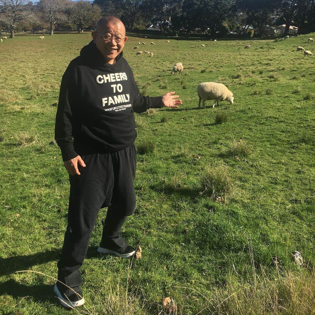 笑福亭鶴瓶さんのインスタグラム写真 - (笑福亭鶴瓶Instagram)「やっぱ、ニュージーランドは羊さんや。」6月3日 10時18分 - shofukuteitsurube