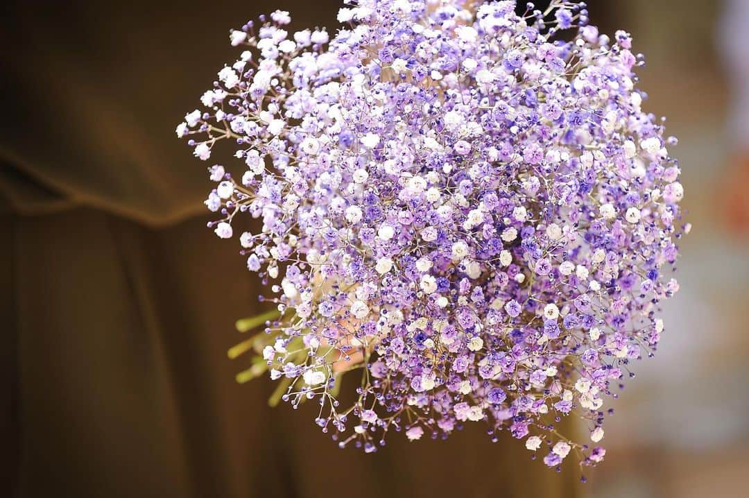 アニエス・ガーデン名張さんのインスタグラム写真 - (アニエス・ガーデン名張Instagram)「． @agnesgarden_nabari ． 【#ブーケ 】 ． ． トス用に作成されたブーケです💐 ． #かすみ草 のみを使用したブーケです♡ 紫色と白色がとってもマッチしています🌷 ． ボリュームがあり、可愛らしいブーケに仕上がりました✨ ． *☼*―――――*☼*――――― ． 素敵な写真がたくさん！ 【#アニエスガーデン名張】 ぜひご覧ください⋆°｡✩ ． *☼*―――――*☼*――――― ． #アニエス#アニエスガーデン #三重県花嫁#三重花嫁 #結婚式場#結婚式 #ウエディング#wedding #ブライダル#bridal #プレ花嫁#卒花嫁 #プレ花嫁さんと繋がりたい #ウエディングフォト #weddingphoto#新郎新婦 #ガーデンウェディング #ナチュラルウェディング #ブライダルフォト #かすみ草ブーケ #ブーケデザイン#bouquet」6月3日 10時23分 - agnesgarden_nabari