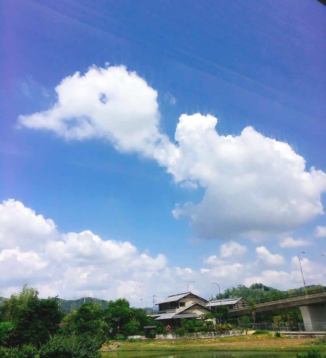 田上よしえさんのインスタグラム写真 - (田上よしえInstagram)「ひよこ雲ー！🐥 #雲  #鳥」6月3日 10時24分 - tanoueyoshie