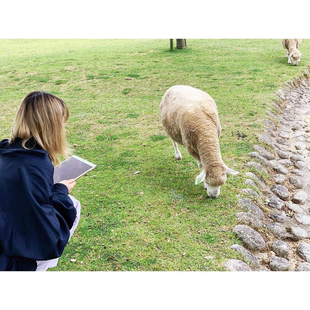 片平里菜さんのインスタグラム写真 - (片平里菜Instagram)「関西2日間🐑🐑🐑」6月3日 11時32分 - katarina_81