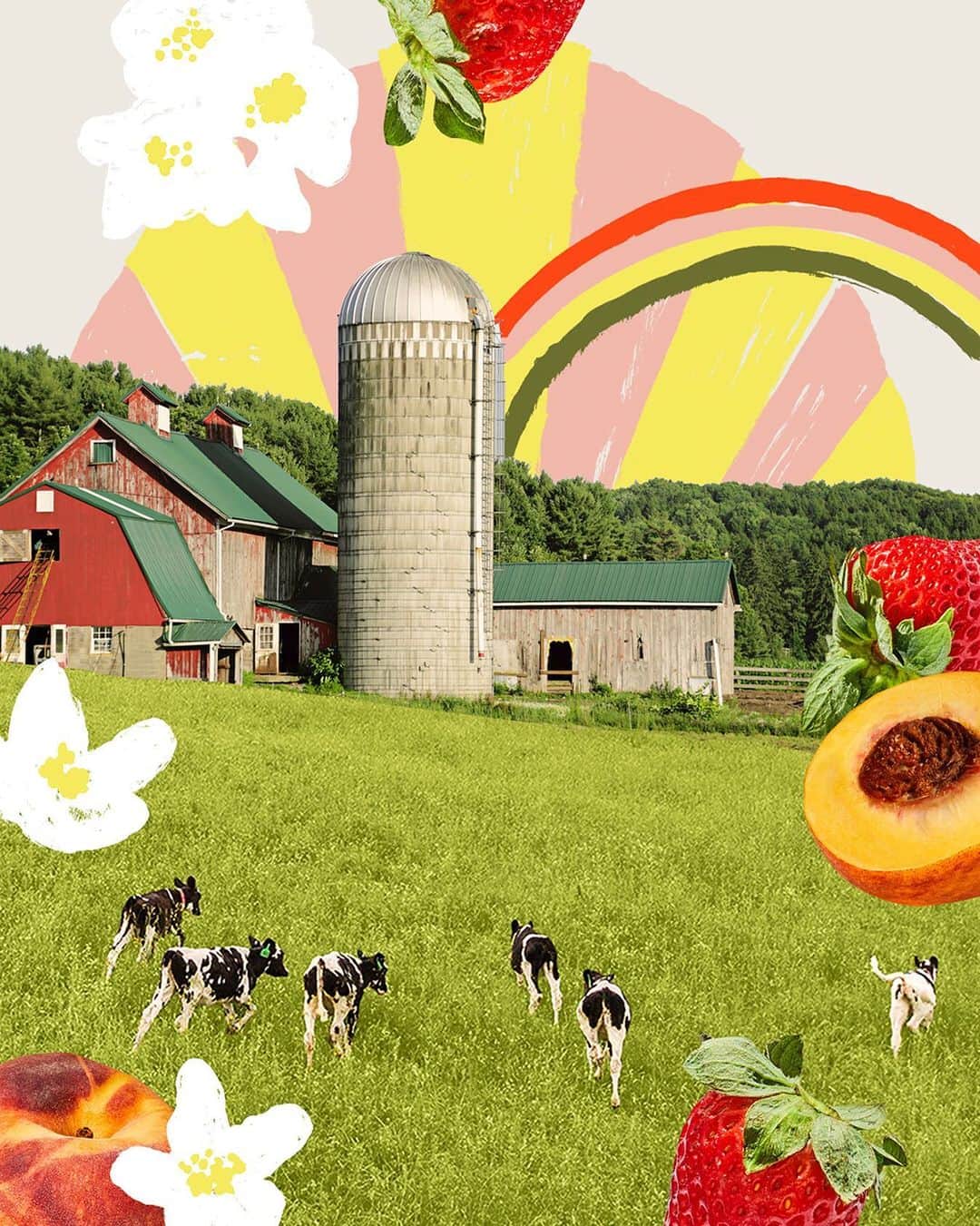 Chobaniのインスタグラム：「In 11 years, we’ve come to know that great dairying makes a difference—in the lives and places it touches, from cows to people, to the planet. Chobani is proud to celebrate #NationalDairyMonth.」