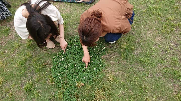 朝見心のインスタグラム：「(∵) クローバー探す同級生 大学の友だち めちゃくちゃ久しぶりに会えた みんなで会えたよ 嬉しい みんな最高に穏やかで優しい素敵なママになってた カッコ良いし可愛いし キラキラしてたよ 四つ葉のクローバー見つかったよ 嬉しい」