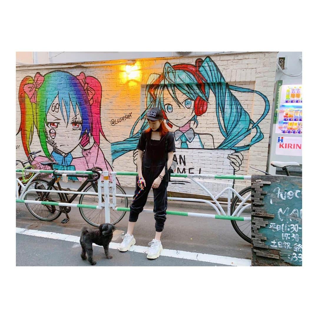吉田菫さんのインスタグラム写真 - (吉田菫Instagram)「. . 🥺🐾🖤 . .」6月3日 14時29分 - sumiredooon1228