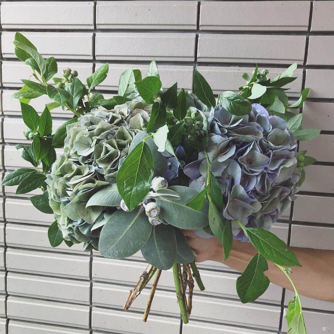 畑野ひろ子さんのインスタグラム写真 - (畑野ひろ子Instagram)「@willgarden_official  デリバリーフラワー  #flower #flowers #bouquet #green #hydrangea #willgarden」6月3日 14時33分 - hiroko_hatano_