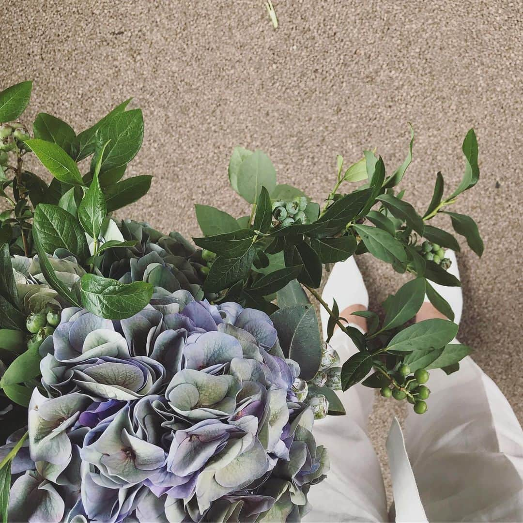 畑野ひろ子さんのインスタグラム写真 - (畑野ひろ子Instagram)「@willgarden_official  デリバリーフラワー  #flower #flowers #bouquet #green #hydrangea #willgarden」6月3日 14時33分 - hiroko_hatano_