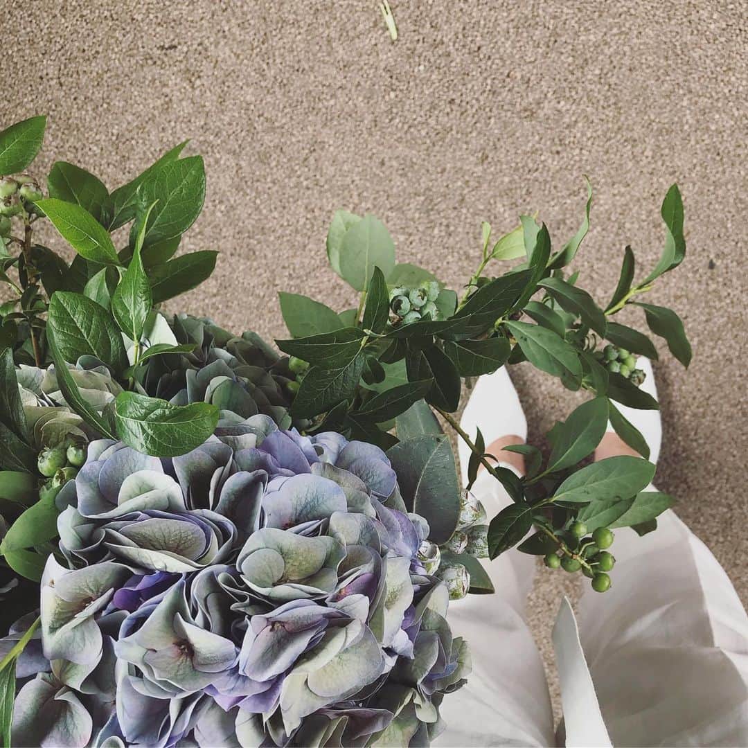 畑野ひろ子のインスタグラム：「@willgarden_official  デリバリーフラワー  #flower #flowers #bouquet #green #hydrangea #willgarden」