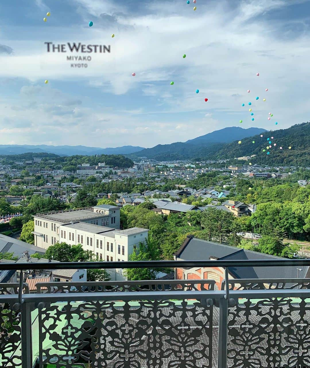 豊田麻子のグルメインスタ