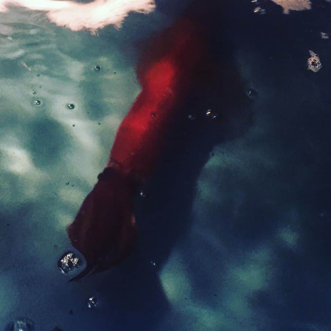 うまかもん九州料理 九州魂天王寺店のグルメインスタ