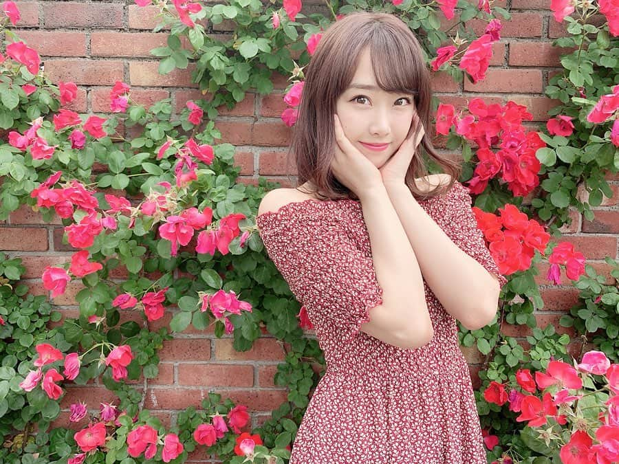 加藤夕夏さんのインスタグラム写真 - (加藤夕夏Instagram)「🌹🌹🌹﻿ ﻿ ﻿ ﻿ お花の壁〜🌹♡﻿ ﻿ ﻿ ﻿ ﻿ #滋賀﻿ #柳ヶ崎湖畔公園﻿ #イングリッシュガーデン﻿ #バラ﻿ #Flower﻿ #ootd﻿ #うかしふく﻿」6月3日 16時21分 - uuka_nmb