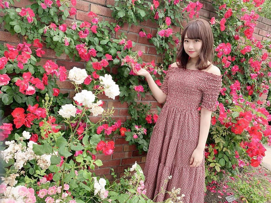 加藤夕夏さんのインスタグラム写真 - (加藤夕夏Instagram)「🌹🌹🌹﻿ ﻿ ﻿ ﻿ お花の壁〜🌹♡﻿ ﻿ ﻿ ﻿ ﻿ #滋賀﻿ #柳ヶ崎湖畔公園﻿ #イングリッシュガーデン﻿ #バラ﻿ #Flower﻿ #ootd﻿ #うかしふく﻿」6月3日 16時21分 - uuka_nmb