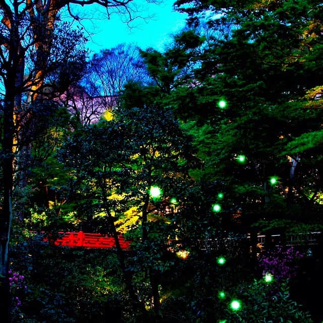 GINZA TANAKA 公式さんのインスタグラム写真 - (GINZA TANAKA 公式Instagram)「2019年5月17日（金）〜6月30日（日） #ホテル椿山荘東京 の庭園では、儚くも美しい蛍の飛翔をお楽しみいただけます。 ・ GINZA TANAKAホテル椿山荘東京店では、幻想的な光をイメージした新作ジュエリーと期間中だけの特別な特典をご用意して、皆さまのご来店をお待ちしております。 ・ ※蛍は気象条件等によりご覧いただけない場合がございます。 ・ #GINZATANAKA #ginzatanaka #ギンザタナカ #田中貴金属 #ホテル椿山荘東京」6月3日 16時22分 - ginzatanaka_jp