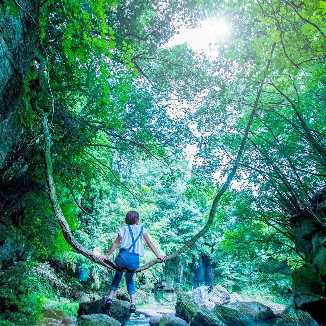 ジェットスター航空さんのインスタグラム写真 - (ジェットスター航空Instagram)「マイナスイオンたっぷり🌿大自然の中にある #黄牛の滝（あめうしのたき）を見ながら、天然のブランコでゆ〜らゆら♪この滝には、龍がすんでいたという伝説もあるんでスター🐉⭐️ ジェットスター「#e旅ブック」第11弾の大分編をお届け中✈️ ・ #ジェットスター　#jetstar_japan　#jetstar #e旅ブック大分編　#etabibook　#e旅ブック大分編 #九州　#大分　#oita　#大分旅行　 #おおいた #九州ぐらむ #おんせん県 #日本　#Japan　#旅　#旅行　#Travel #LCC　#LCC女子旅　#旅したくなるフォト #旅行好きな人と繋がりたい ・ ------------------------------ 📷 by @chikichiki1220 Special thanks⭐ ------------------------------」6月3日 16時25分 - jetstar_japan
