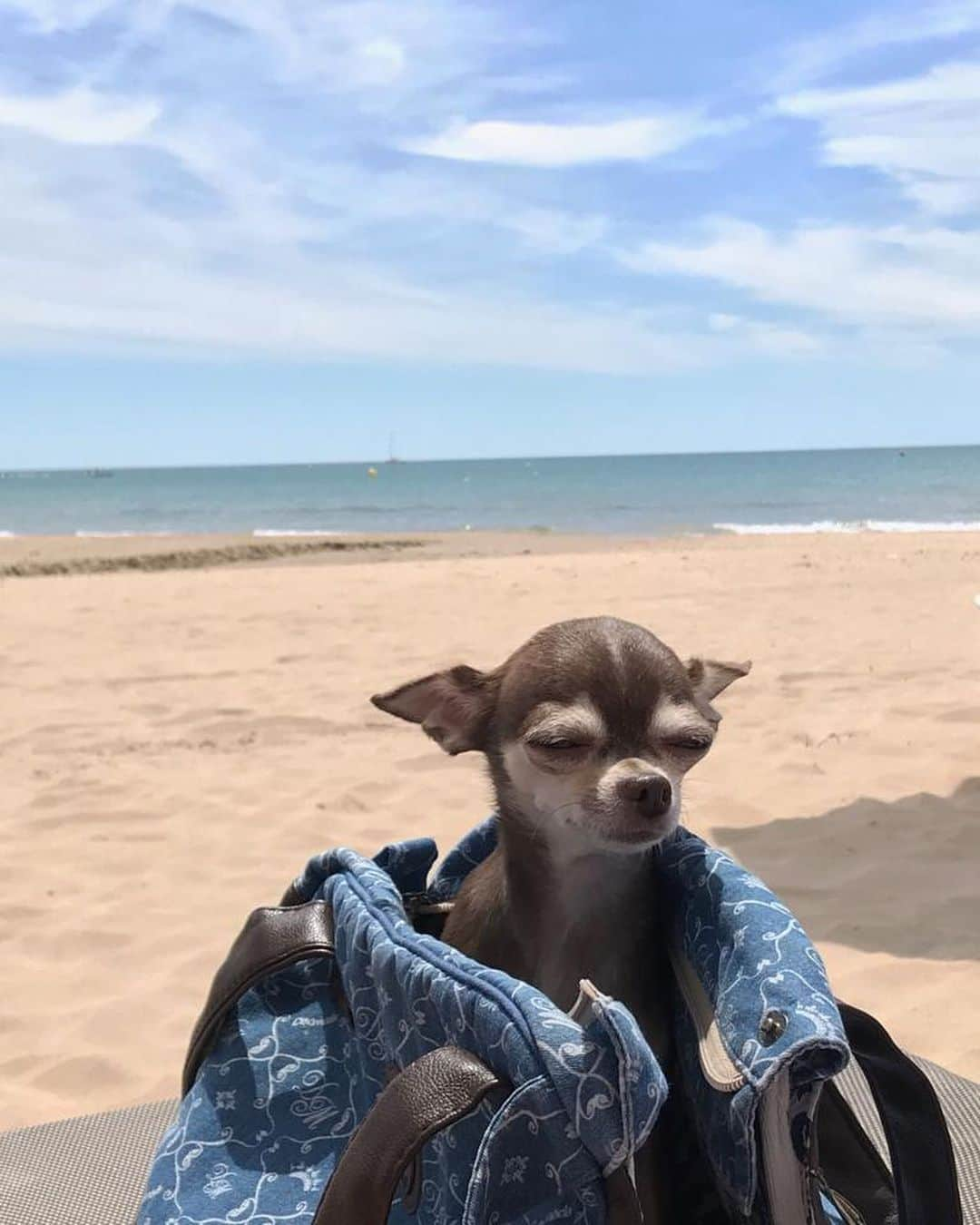 アレクサンドラ・トゥルソワさんのインスタグラム写真 - (アレクサンドラ・トゥルソワInstagram)「🏖☀️」6月3日 17時14分 - avtrusova