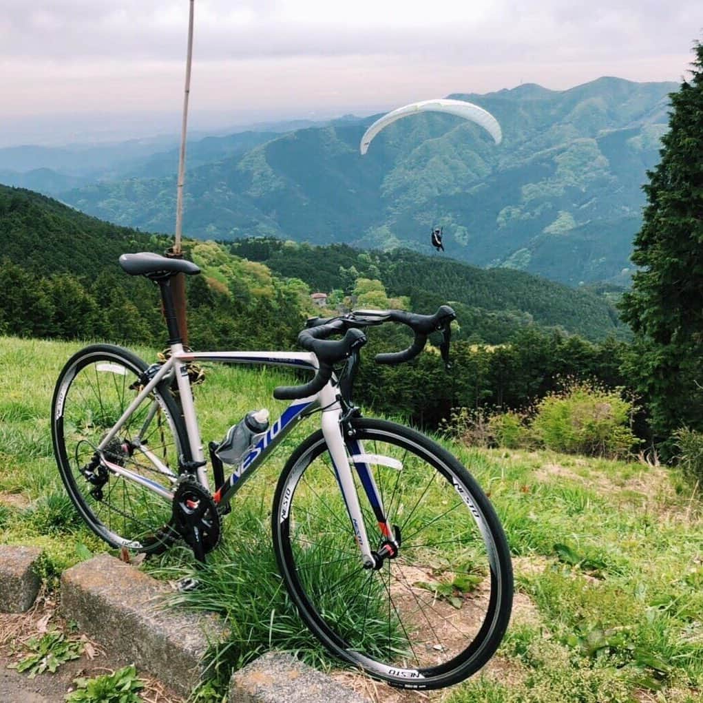 NESTOのインスタグラム