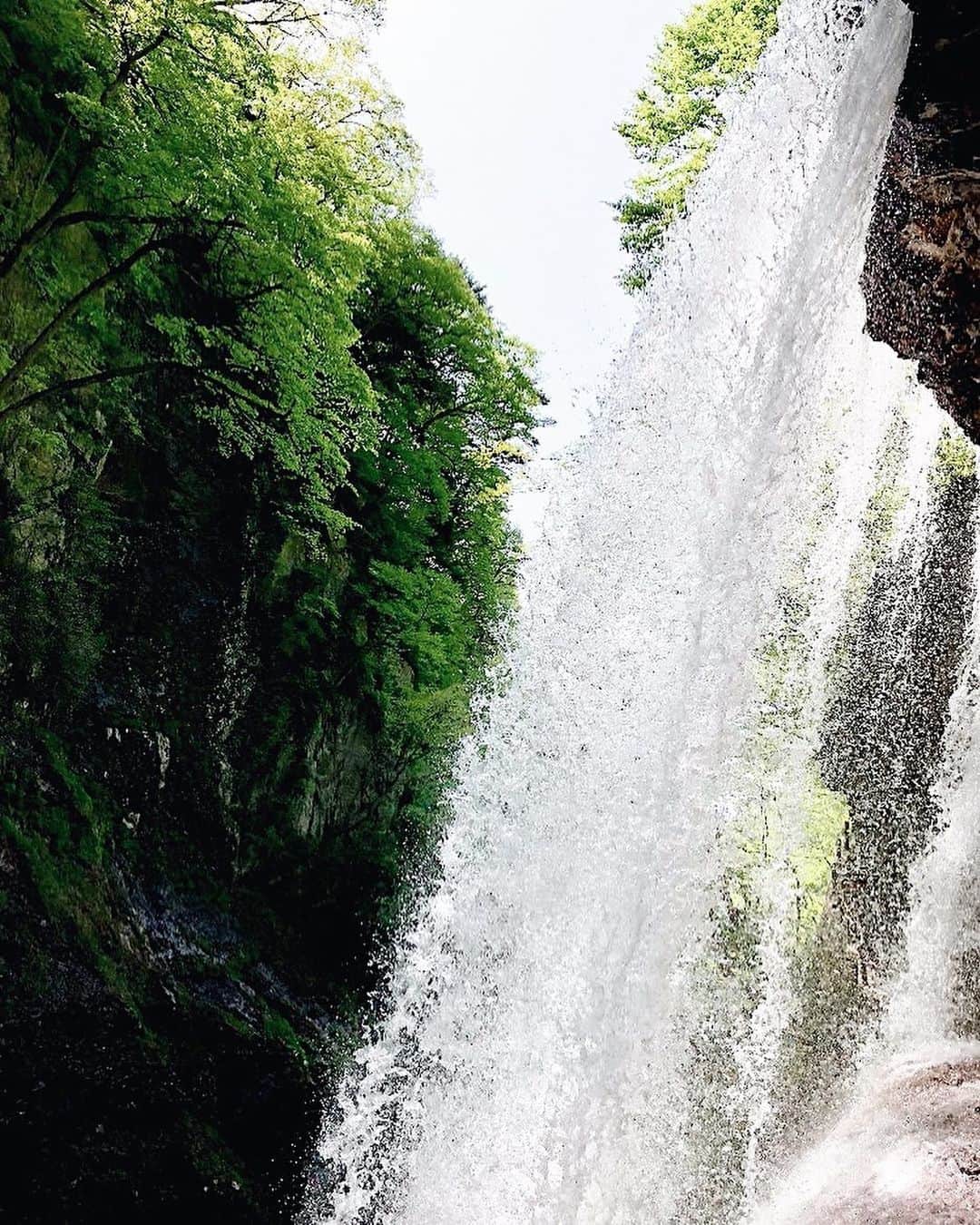 ?長野県 観光 公式インスタグラム さんのインスタグラム写真 - (?長野県 観光 公式インスタグラム Instagram)「//﻿ Photo by @pinnacle.mtact﻿ ﻿ Kaminari Falls﻿ (Takayama Village)﻿ ﻿ Since you can take a path behind the waterfall, Kaminari Falls is also known as Urami-no-Taki, or “See-behind Waterfall.”﻿ ﻿ While behind the waterfall, you can take in the refreshing, misty air, rich with negative ions.﻿ ﻿ ============﻿ ﻿ 滝の裏側を見られる﻿ 「雷滝」﻿ ＠高山村﻿ ﻿ 滝の裏側を通り抜けられるために﻿ 別名「裏見の滝」と呼ばれる﻿ 高山村ある巨瀑「雷滝」🍃﻿ ﻿ 滝の真裏からは﻿ マイナスイオンのシャワーを﻿ たっぷり浴びることができますよ✨﻿ ﻿ ＿＿＿＿＿＿＿＿＿ ﻿ ﻿ 🍃インスタアワード作品募集中🍃﻿ 応募期間4/25～6/16﻿ 詳しくはプロフィールのリンクからご覧ください﻿ ﻿ @nagano_japan をフォローして﻿ 応募期間(4/25～6/16)内に ﻿ 長野県内で撮った写真には﻿ #長野のいいところ﻿ 花フェスタ会場で撮った写真には﻿ #信州花フェスタ2019﻿ を付けて投稿するだけ✨﻿ ﻿ ＿＿＿＿＿＿＿＿＿ ﻿ ﻿ Location /  Takayama Village, Nagano, Japan ﻿ ﻿ #長野のいいところ #雷滝 #高山村 #山の信州﻿」6月3日 17時58分 - nagano_japan