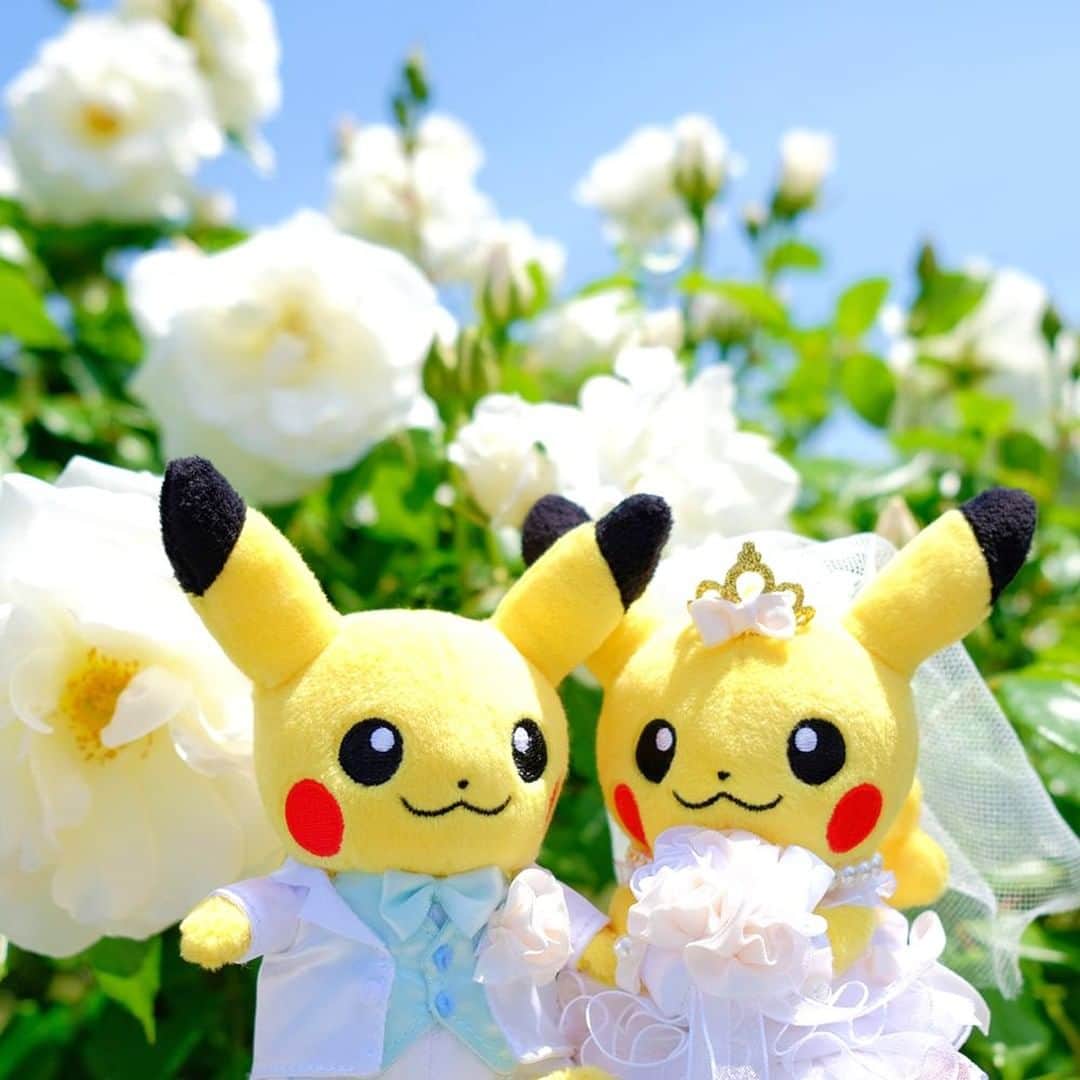 ピカチュウ公式Instagramさんのインスタグラム写真 - (ピカチュウ公式InstagramInstagram)「【今日のピカチュウ】 6月といえばジューンブライド💍💐✨ ピカチュウたちも衣装を着せてもらって嬉しそう🎶 #pikachu #pokemon #pikachu_snap #photooftheday #wedding #junebride #tuxedo #weddingdress #june #ピカチュウ #ポケモン #結婚 #ジューンブライド #ウェディングドレス #タキシード #新郎 #花嫁 #6月」6月3日 18時00分 - pokemon_jpn