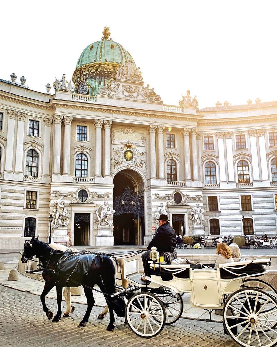 Wien | Viennaさんのインスタグラム写真 - (Wien | ViennaInstagram)「Until 1918 the extensive palatial complex at the heart of Vienna - the Hofburg Palace - was the political centre of the monarchy. And Did you know that today it fulfils the same role for the democratic Republic of Austria? 👑🇦🇹 by @flokfs #ViennaNow」6月3日 18時00分 - viennatouristboard