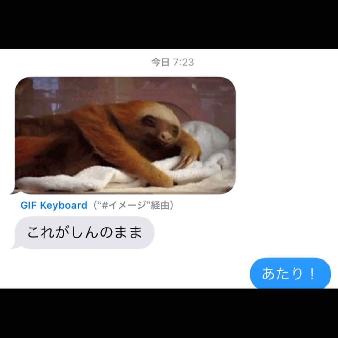 LiLyさんのインスタグラム写真 - (LiLyInstagram)「真の姿。  #ナマケモノ  #異論なし 💭w #CHILLforLIFE ✨  あくび。  #母娘 🌹🌹w #かーにゃアート  #lilysdiary2019」6月3日 18時08分 - lilylilylilycom